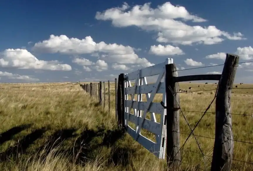 Presentaron un proyecto para limitar la titularidad extranjera de tierras en la provincia de Buenos Aires