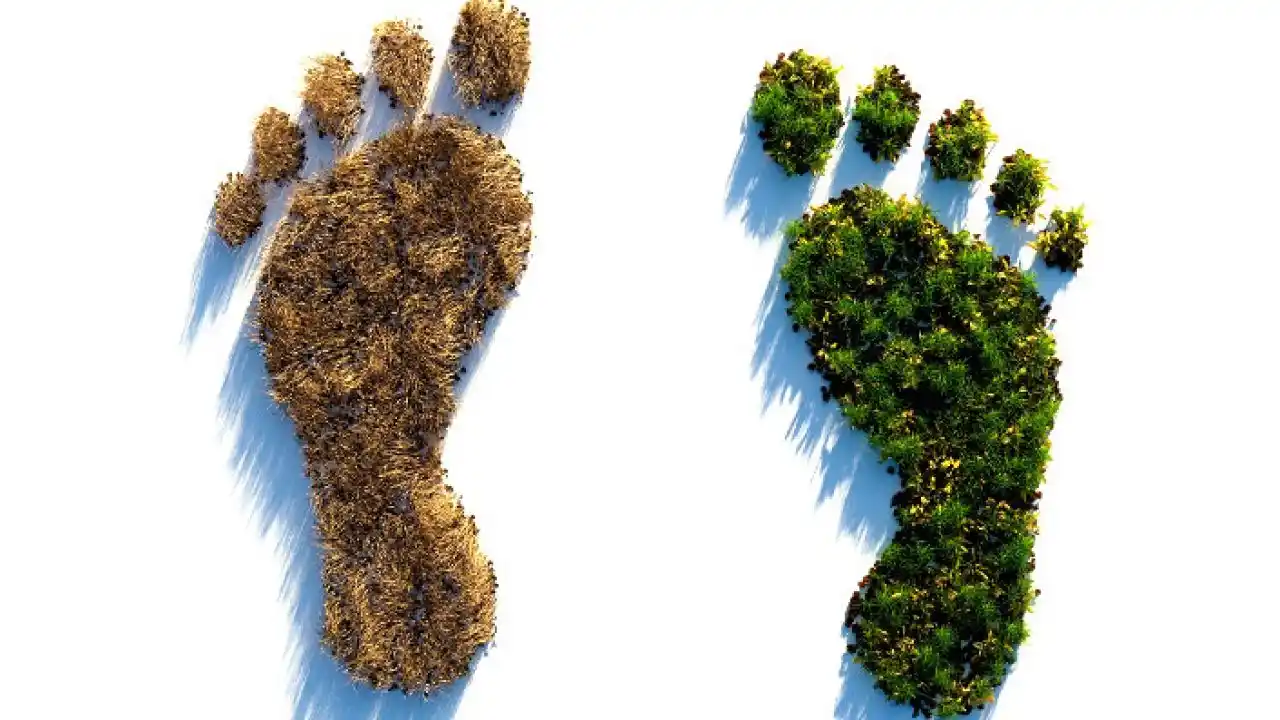 La Huella Ecológica