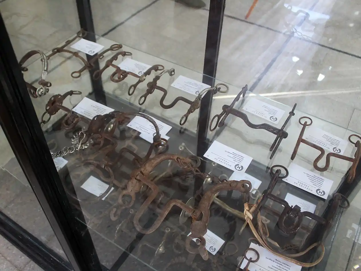 "El Freno": Tradición, cultura y pasión en la Tercera Muestra de Aperos