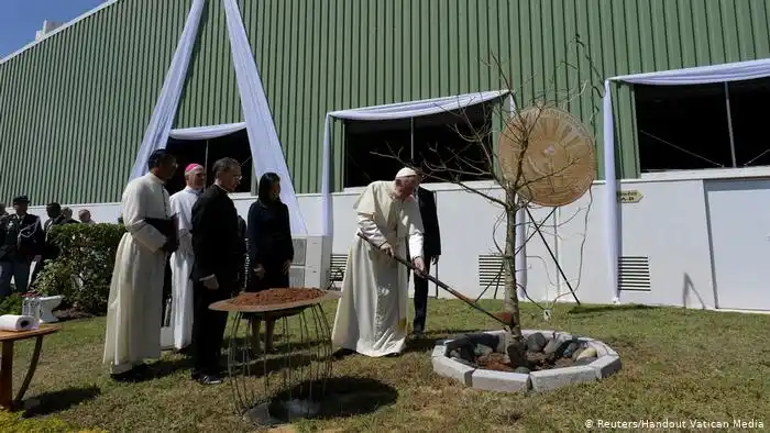 Según el Papa, la deforestación debe ser vista como una amenaza global