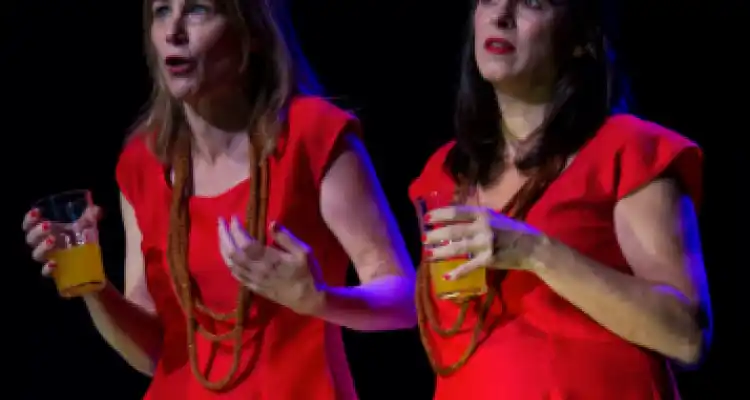 Domingo para ir al teatro: Presentan “Cuánto cuesta una heladera” y “La zorra ilusa”