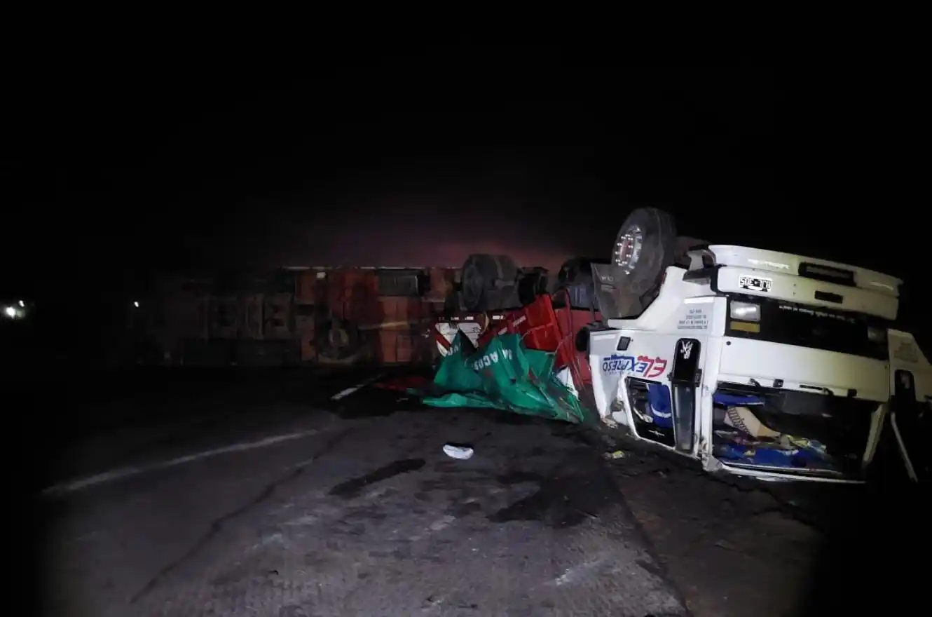 Un camión volcó en la ruta 12 tras esquivar un animal, en Gobernador Mansilla