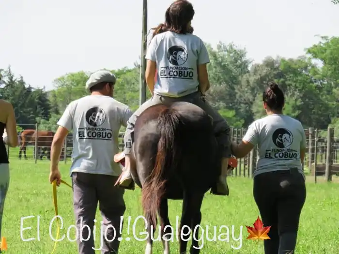 Media sanción para el proyecto de ley de equinoterapia y otras terapias asistidas con animales