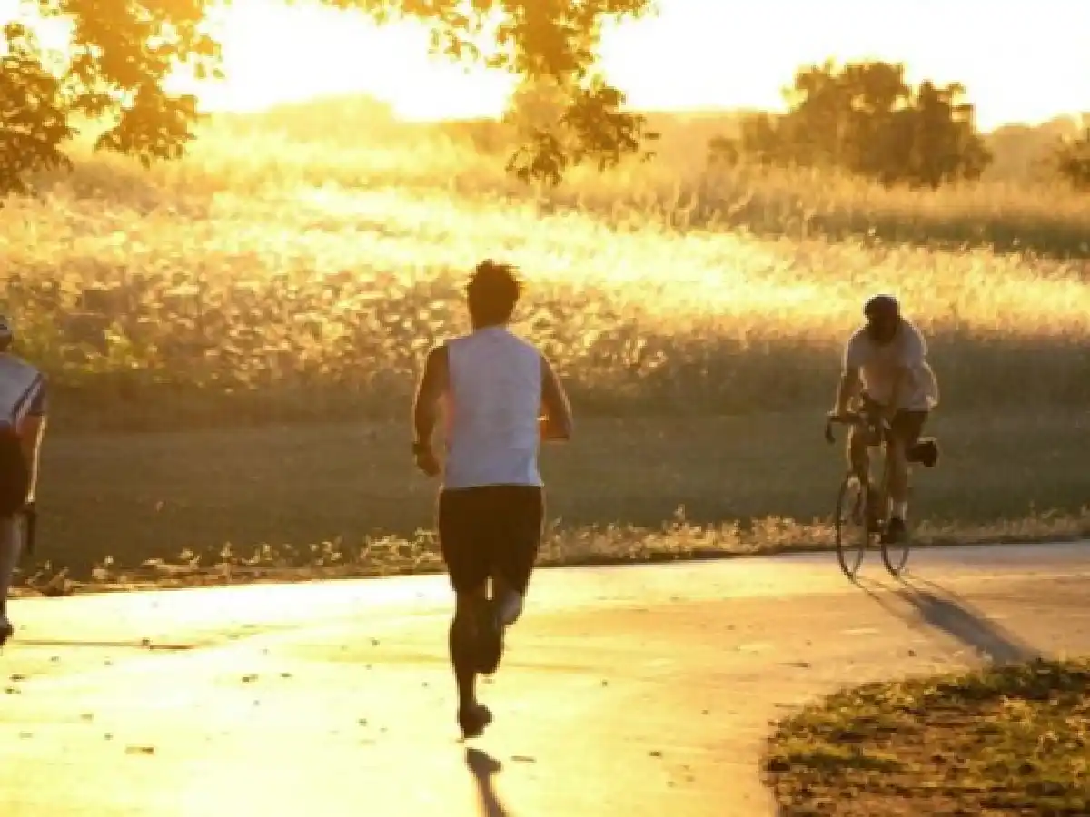 Salud: las mejores apps para cuidarse