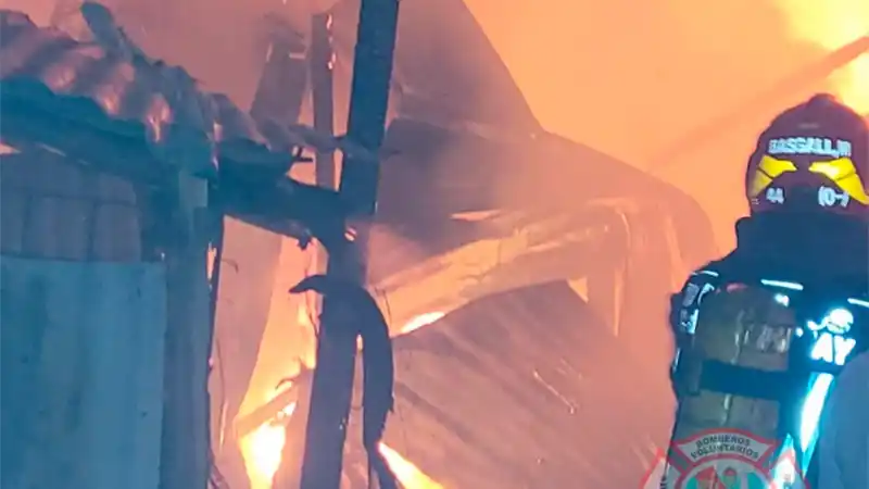 Murieron varios perros que quedaron atrapados en un voraz incendio