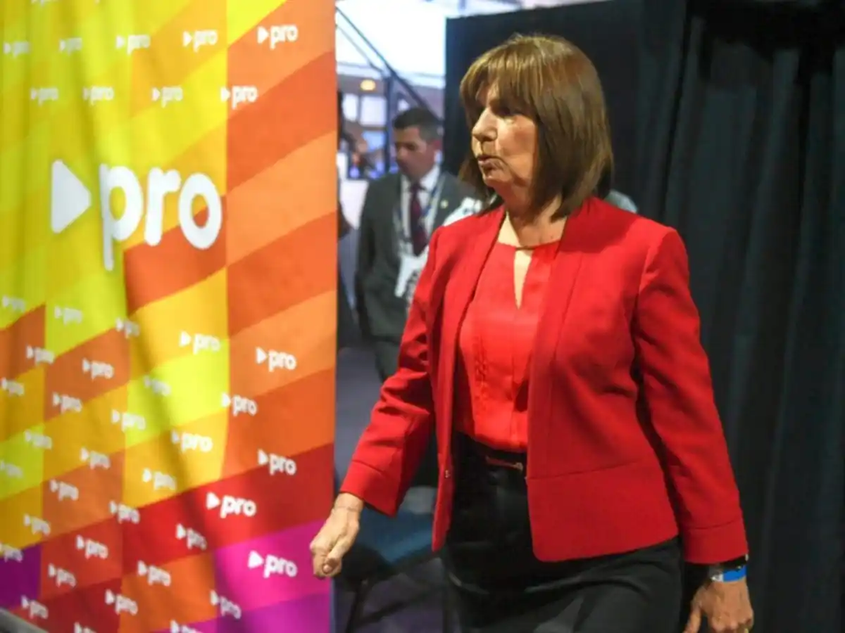 El PRO se reúne para evaluar la deuda