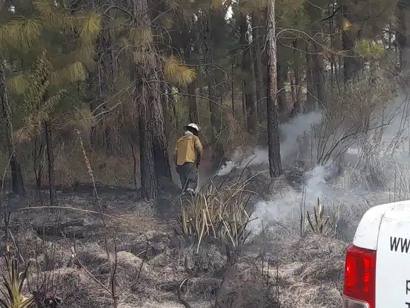 Los Bomberos trabajaron en un intenso incendio forestal