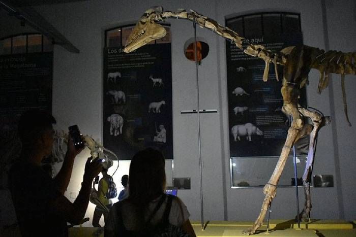 El Museo Antonio Serrano elegido para participar de la Factoría de Museos