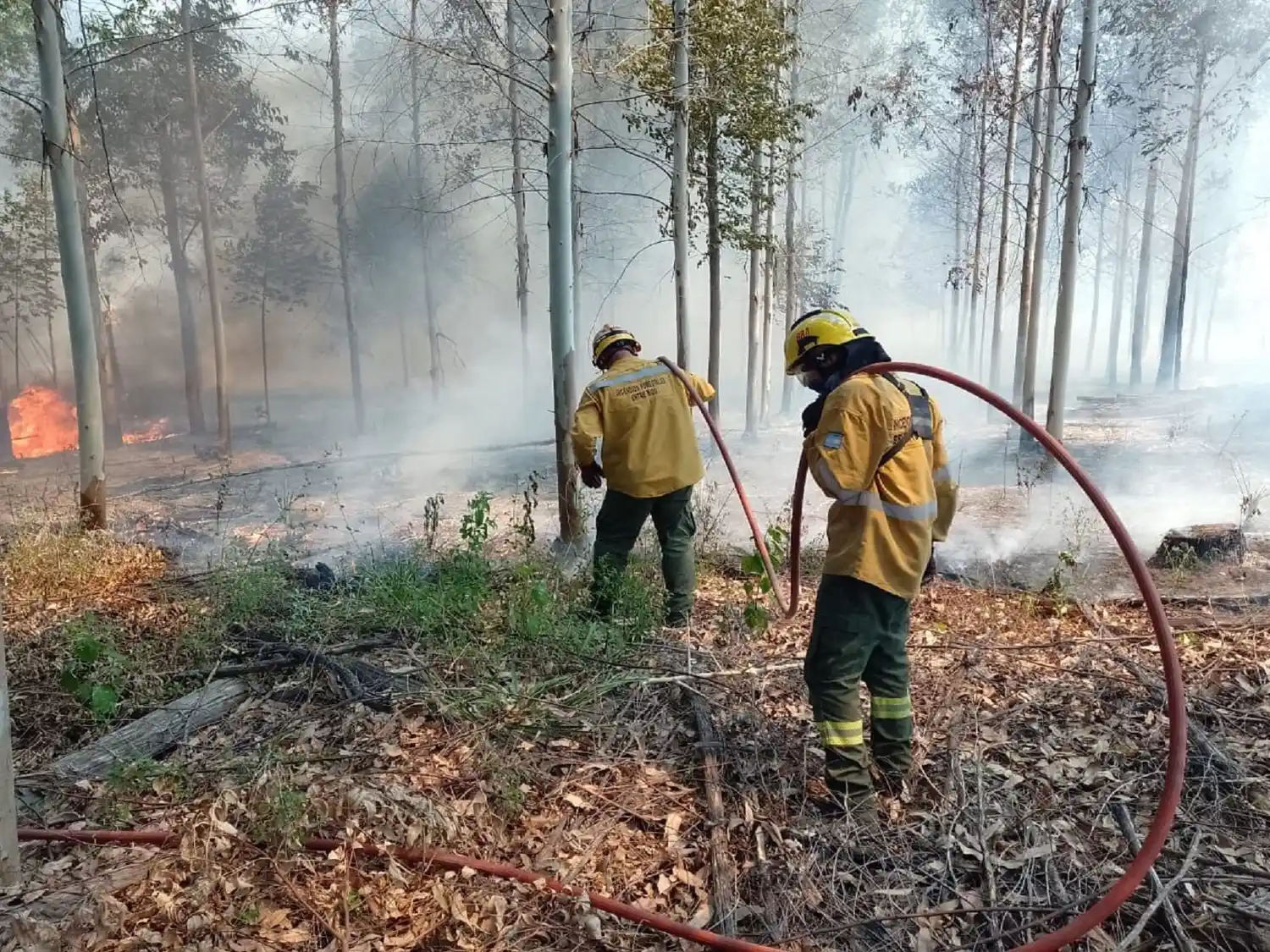 Bomberos Voluntarios de Entre Ríos reclaman al gobernador por falta de respuestas de Defensa Civil