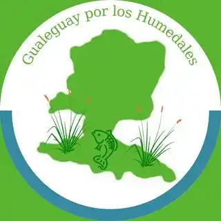 Gualeguay por los Humedales: un grupo de ocupados y preocupados por los humedales