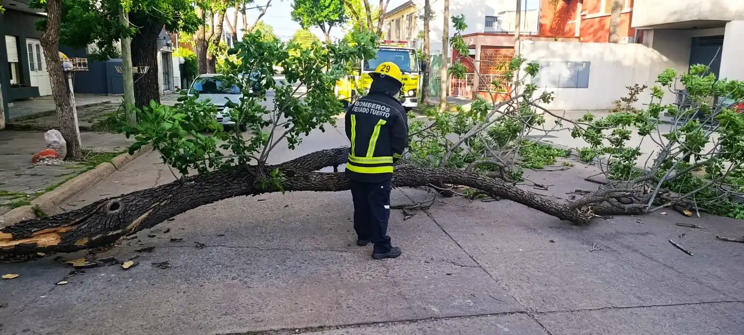 Crédito: Bomberos de Venado Tuerto.