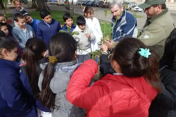 En Gualeguaychú plantaron 66 nuevos árboles nativos