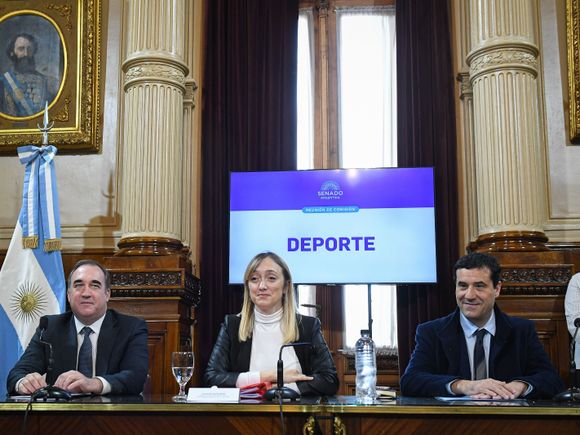 Abad fue designado como vicepresidente de la Comisión de Deporte en el Senado