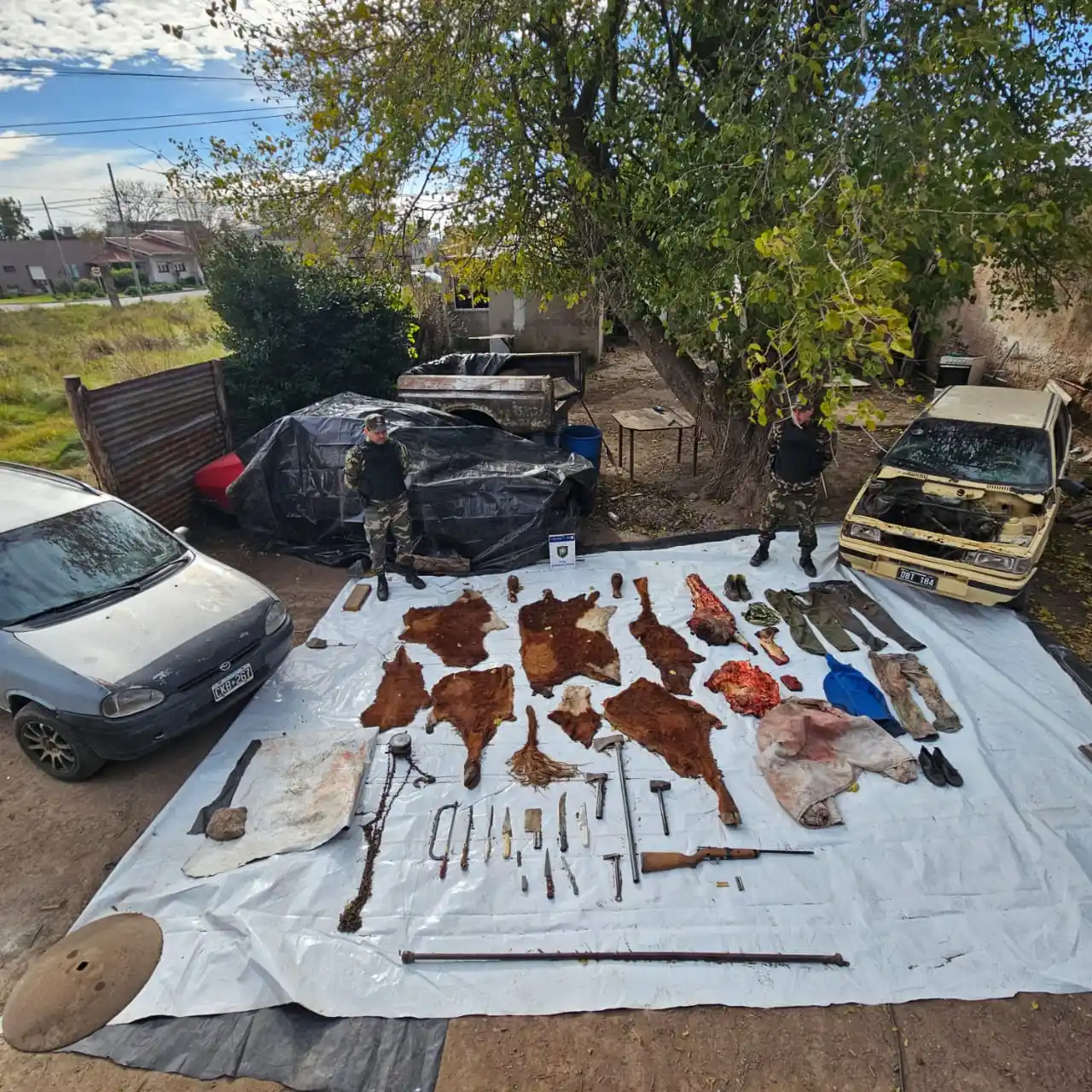 Un aprehendido por faenar y comercializar carne robada