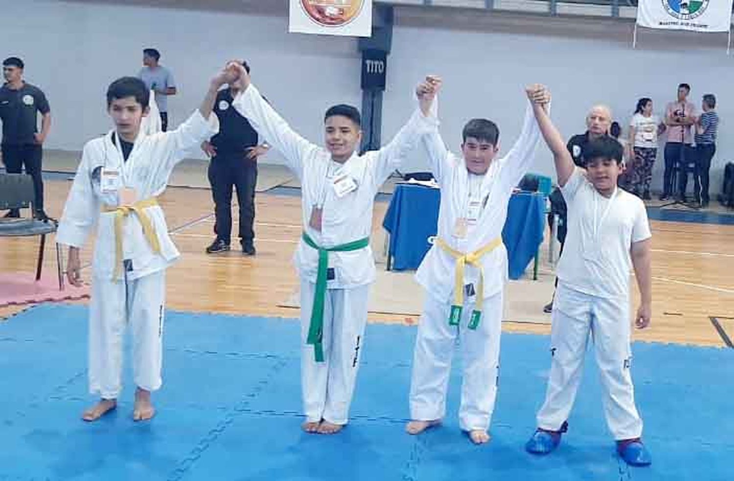 Torneo Provincial de Taekwon-Do