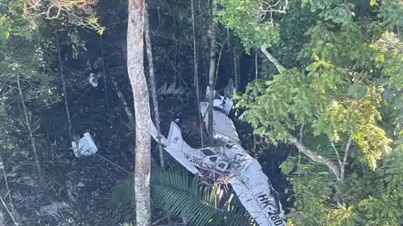 ¡ESTÁN VIVOS! Autoridades colombianas prosiguen búsqueda de niños indígenas desaparecidos