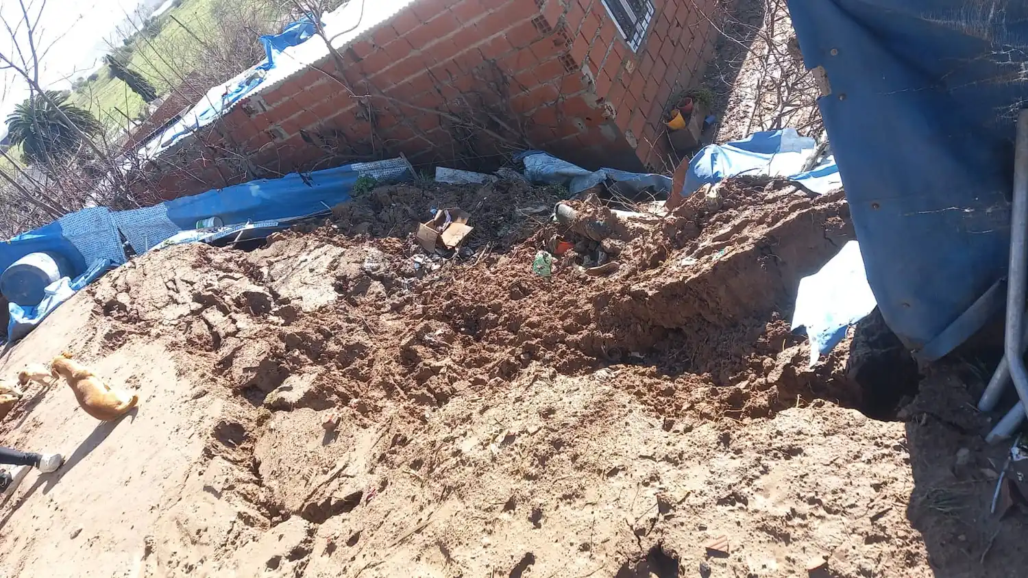 Los vecinos piden colaboración para poder evitar el derrumbe de su vivienda.