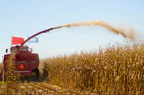 Se descargaron 336.840 toneladas de granos en el puerto de Bahía Blanca