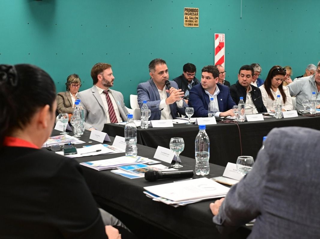 Davico participó del Comité para el Desarrollo de la Cuenca del Río Uruguay y habló sobre el dragado del río