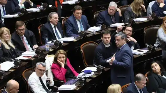 La oposición rechazará los vetos a las leyes del Garrahan y Universidades