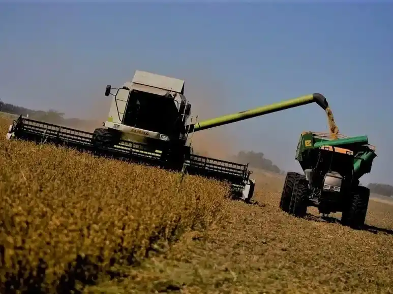 campaña agrícola
