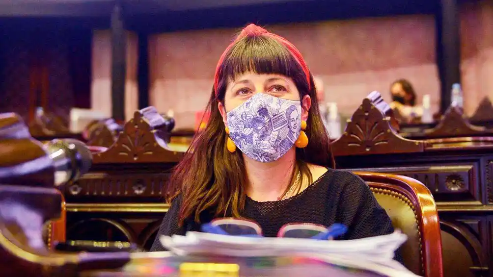 Legalización del Aborto: «Se evalúa incluir la objeción de conciencia institucional en el proyecto», indicó Gaillard