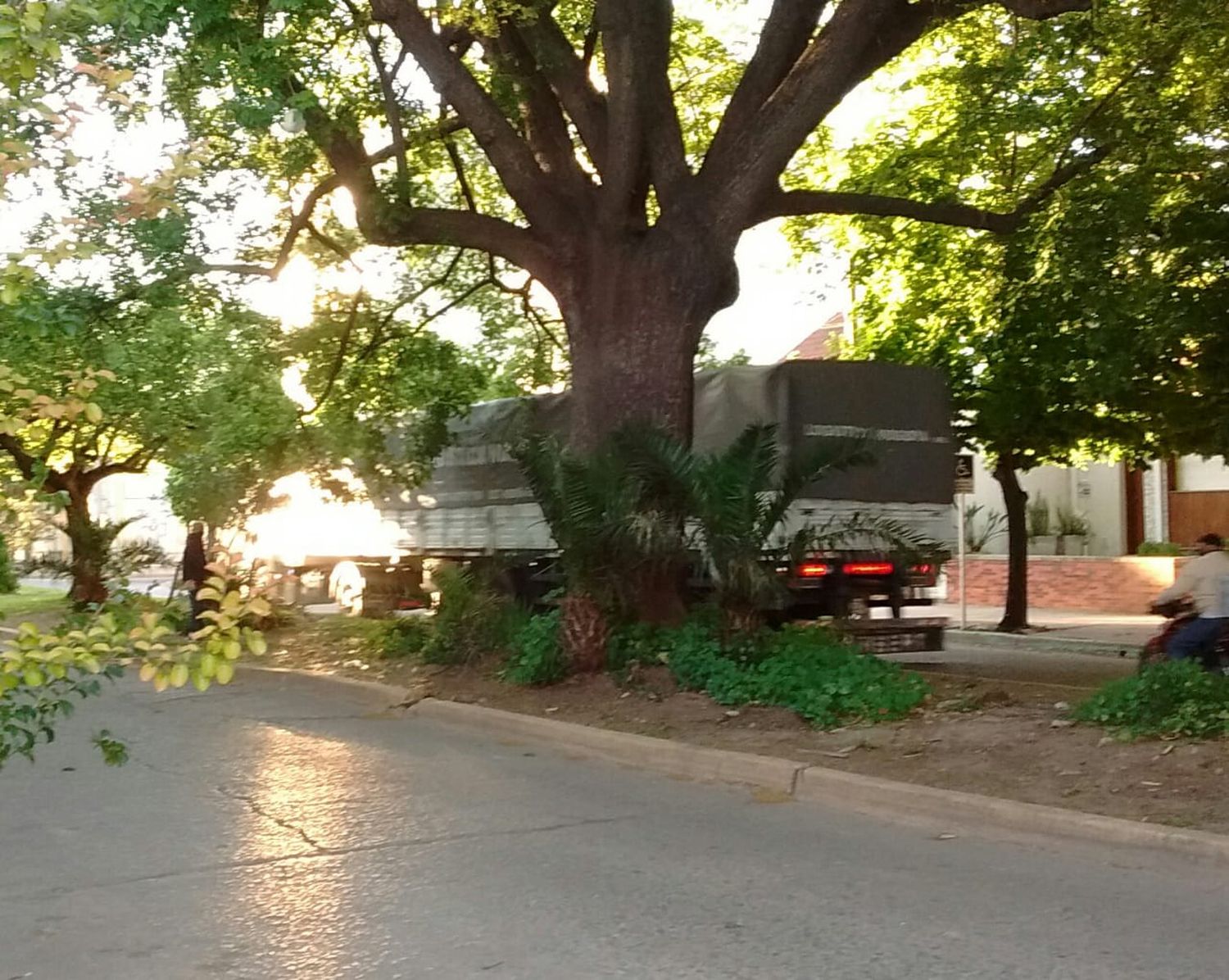 ¿Camiones en el centro?