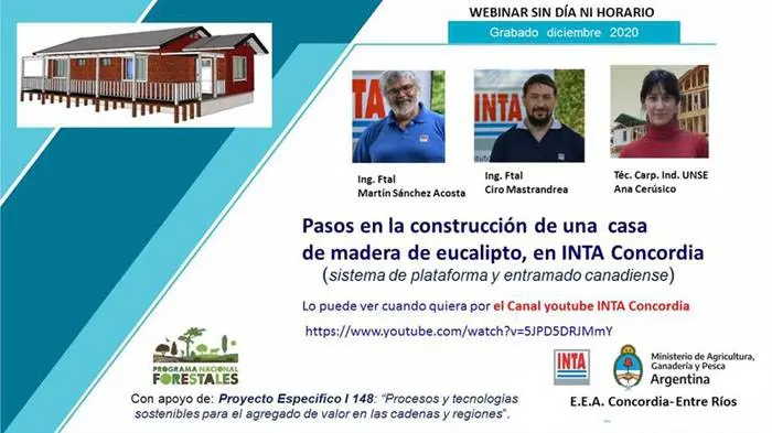 Cómo construir con madera
