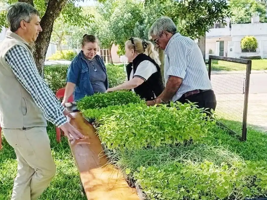 En mayo continúa el Programa de Huertas Agroecológicas familiares