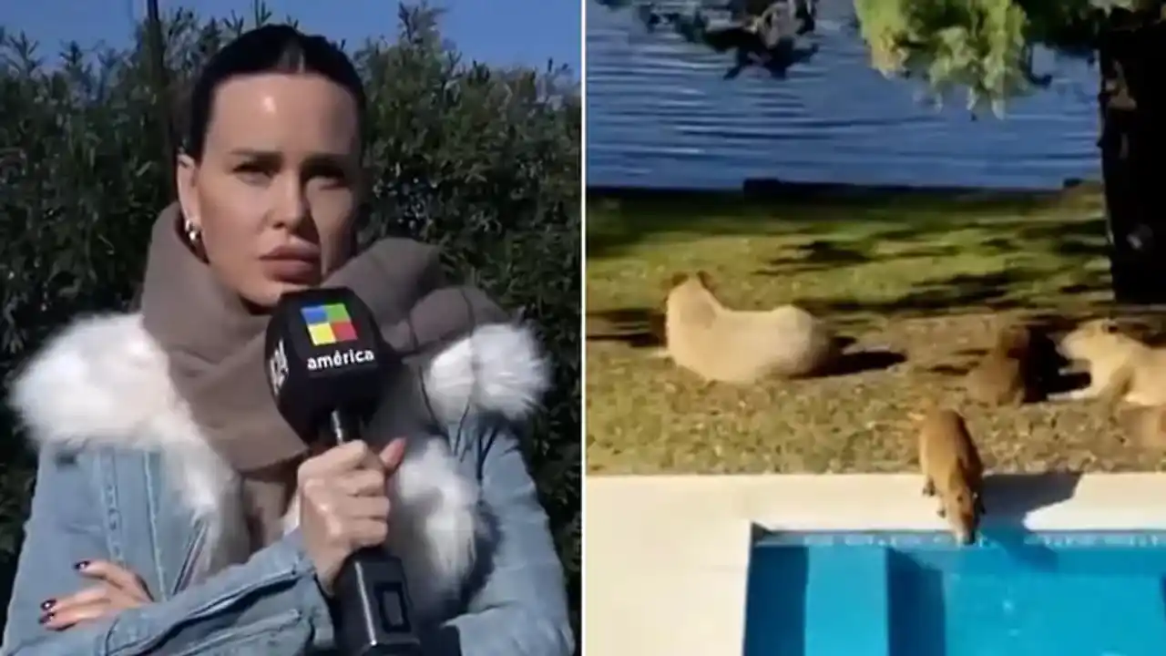 Los carpinchos y Nordelta