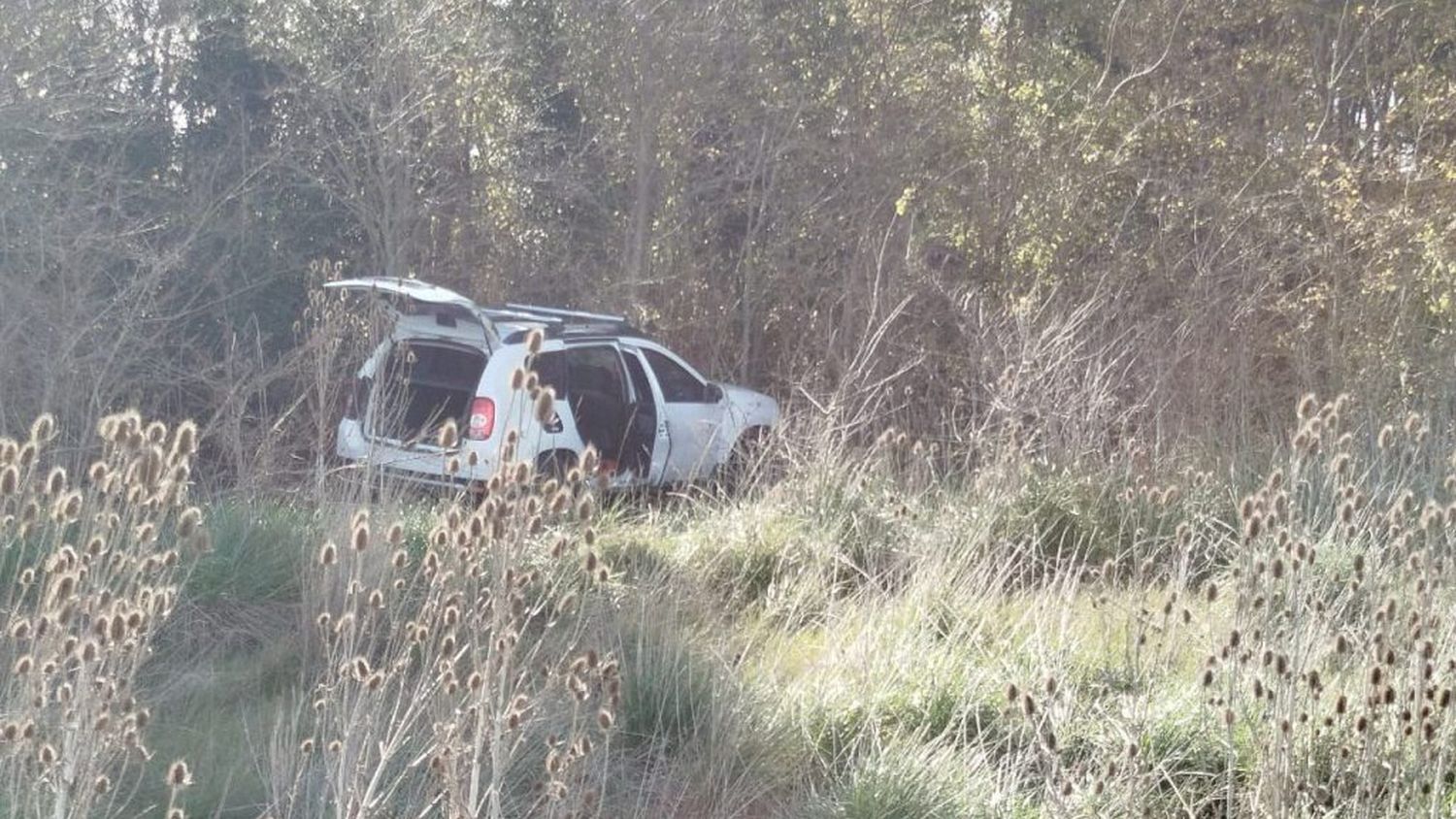 Horror en ruta 228