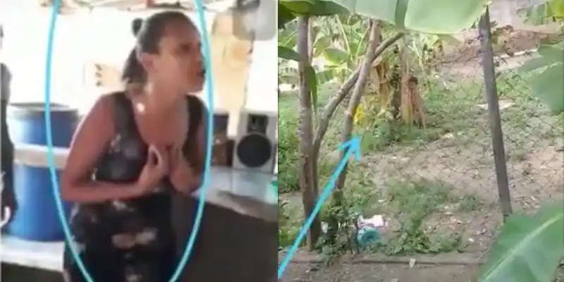 A la cárcel mujer que amarraba a su hijo desnudo a una mata de plátano