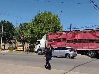 Camión de gran porte derriba cables y complica el tránsito en Perón y Pellegrini