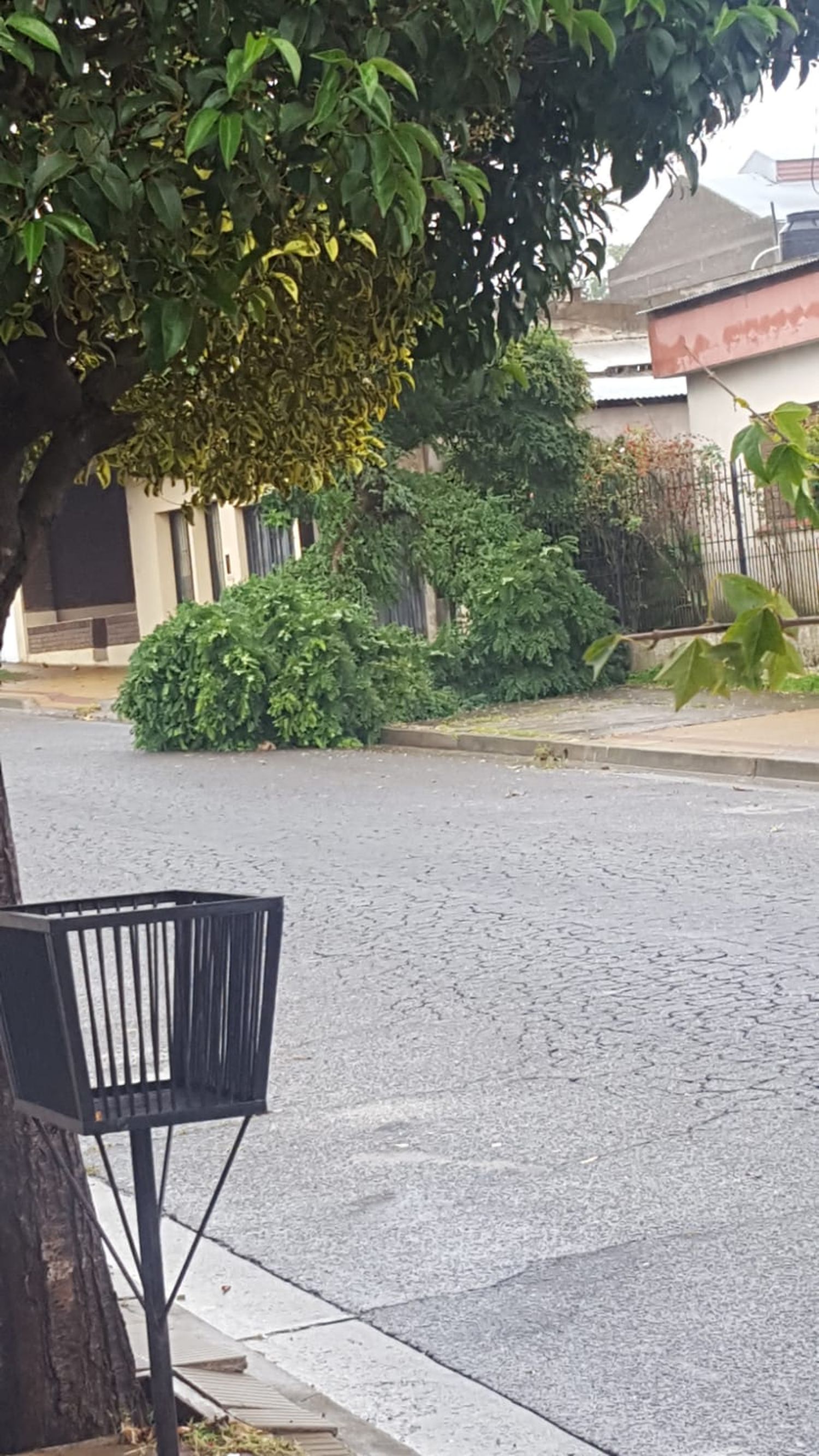Pese a los alertas por vientos, el tiempo no generó problemas en Tandil y en Gardey bajó el agua