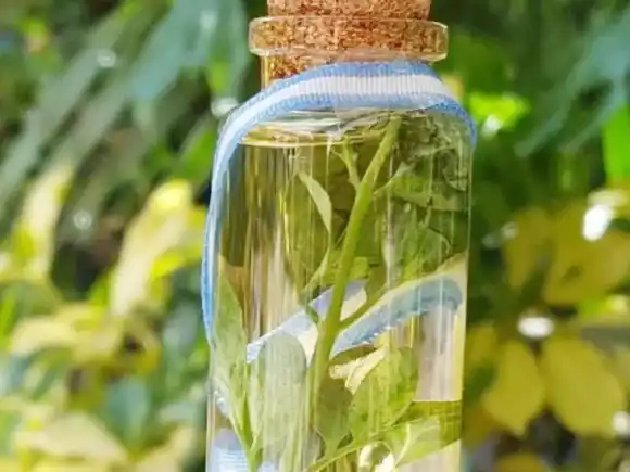 ¿Y AHORA QUE? ¿AHORA? ¡CAÑA CON RUDA!