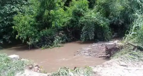 Reporte ciudadano