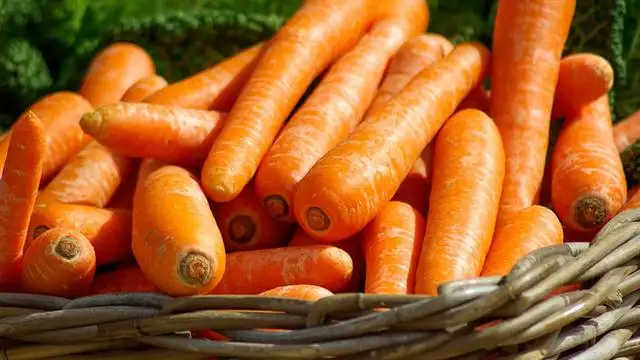 Bioquioscos: productos saludables en polideportivos municipales