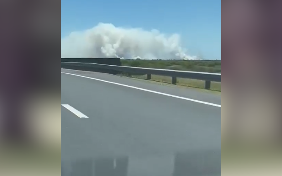 Captura de video