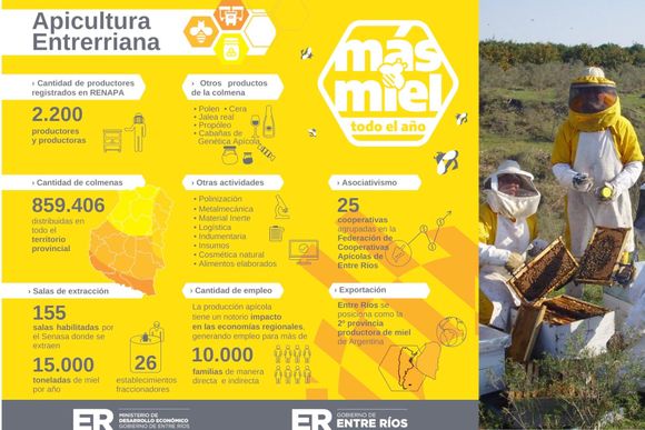 5 de junio: Día de la Apicultura Entrerriana