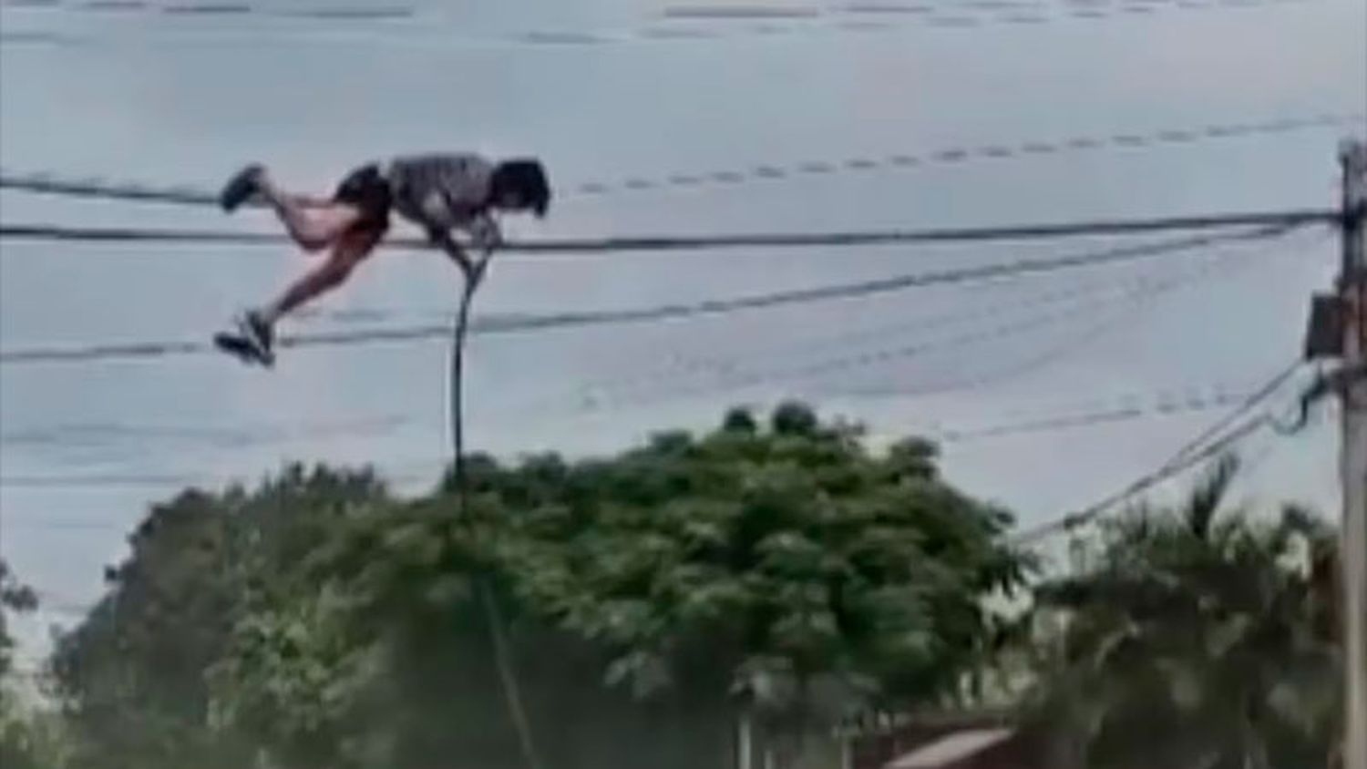 Video: un hombre se colgó de un tendido eléctrico para cortar y robar cables