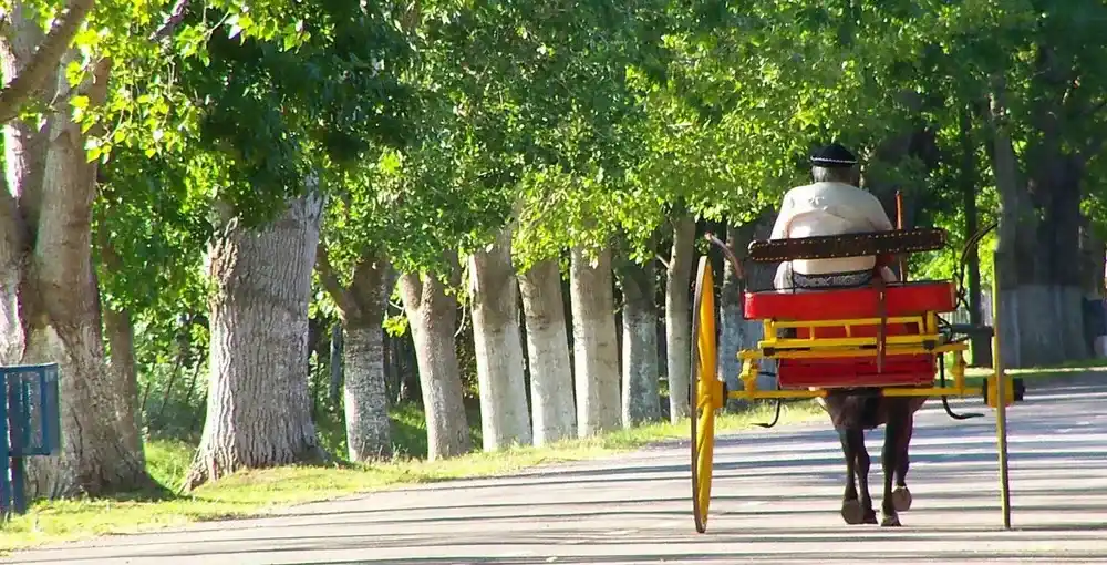 Oliden, el pueblo turístico rural de Brandsen famoso por sus galletas de campo