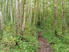 Paisajes ocultos de Tandil (I): ¿qué lugar es este?