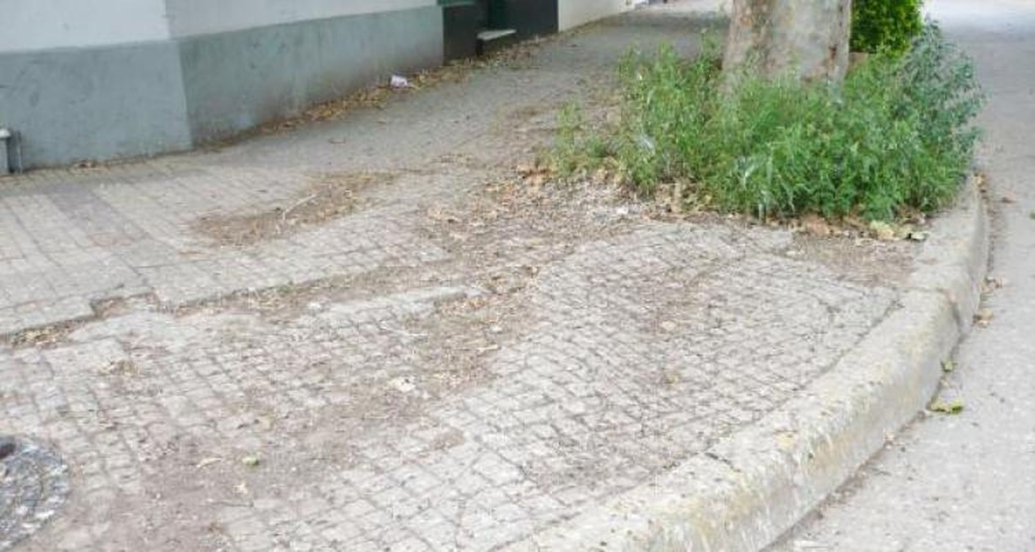 La esquina de los pájaros