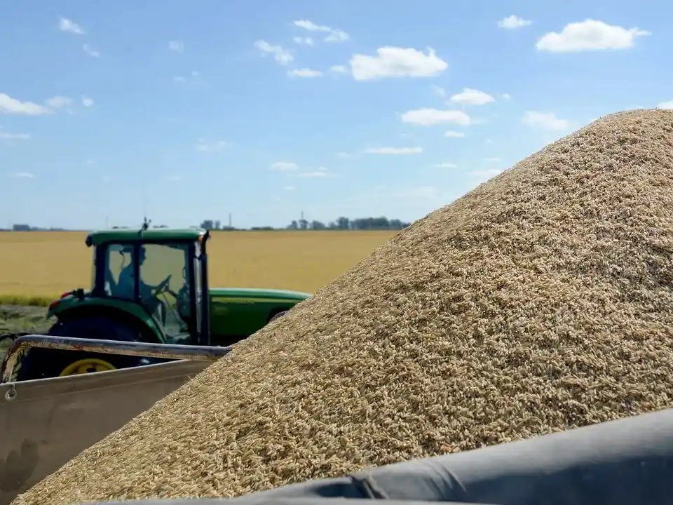 Las exportaciones del sector agroindustrial subieron 25 por ciento durante el año pasado