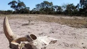 La emergencia agropecuaria se extendió por 60 días en la Provincia