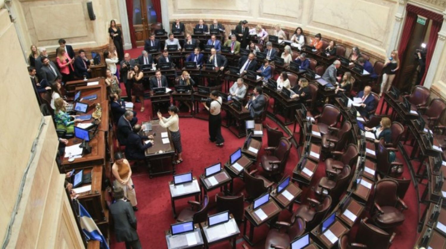 Con expositores invitados, el Senado debate la reforma de la ley de Alquileres