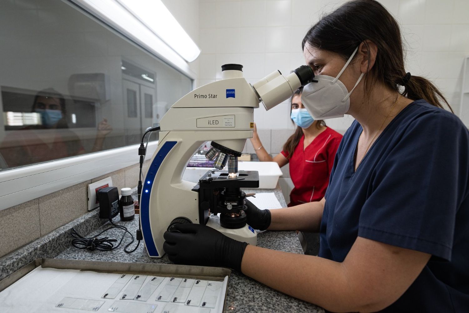 El Laboratorio de Microbiología comenzó  a funcionar en el nuevo edificio