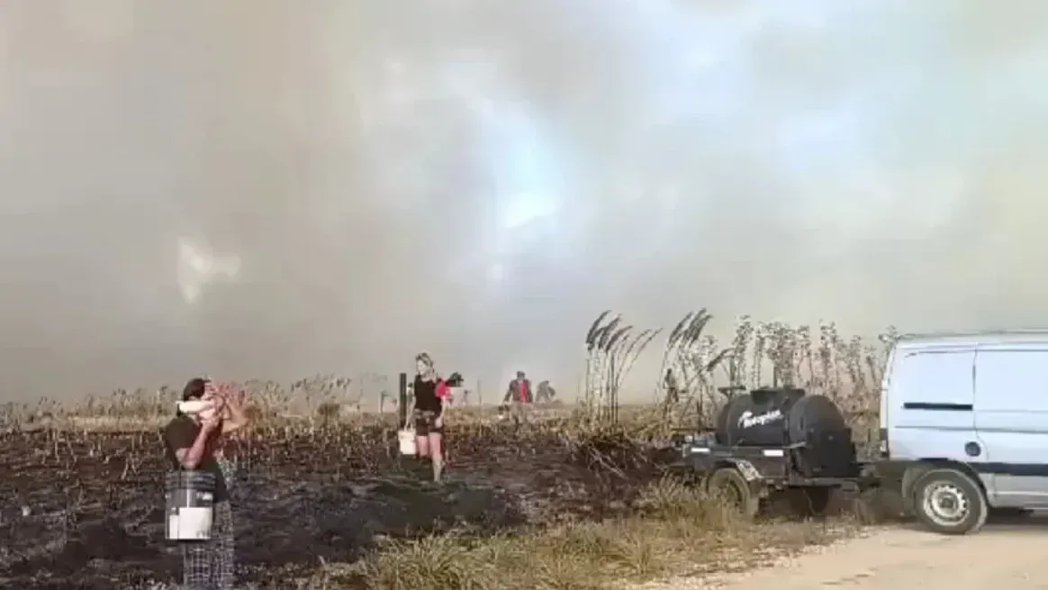 Los incendios forestales en los alrededores de Mar del Plata no dan tregua.