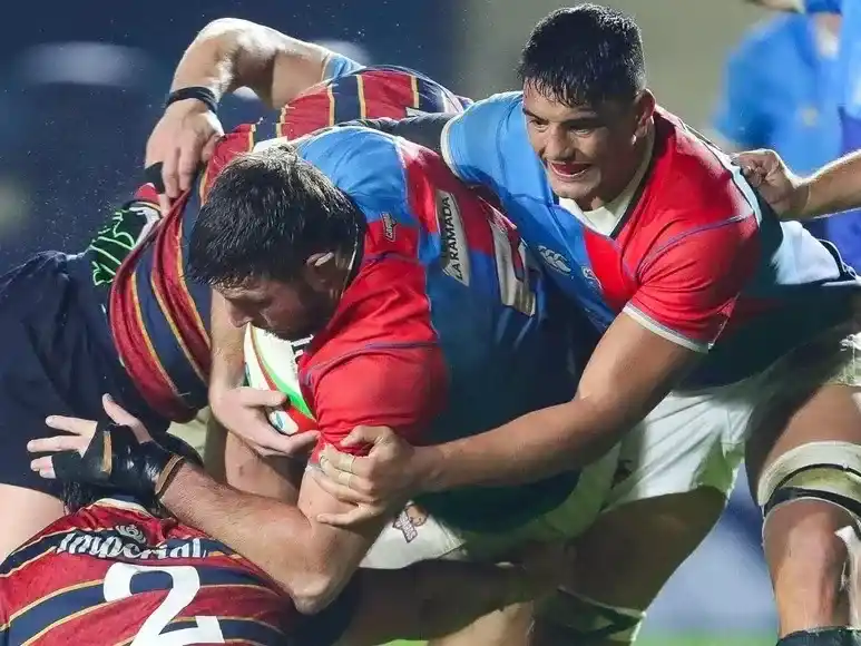 capibaras xv