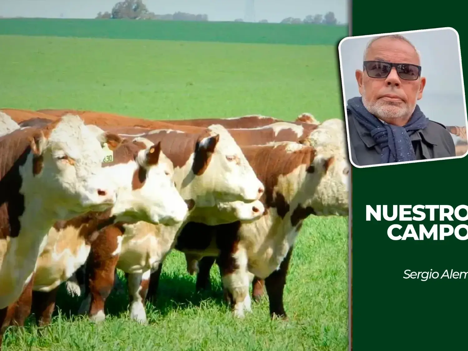 Cañuelas recibió 9.274 animales y la soja cotizó a 552.500 pesos por tonelada